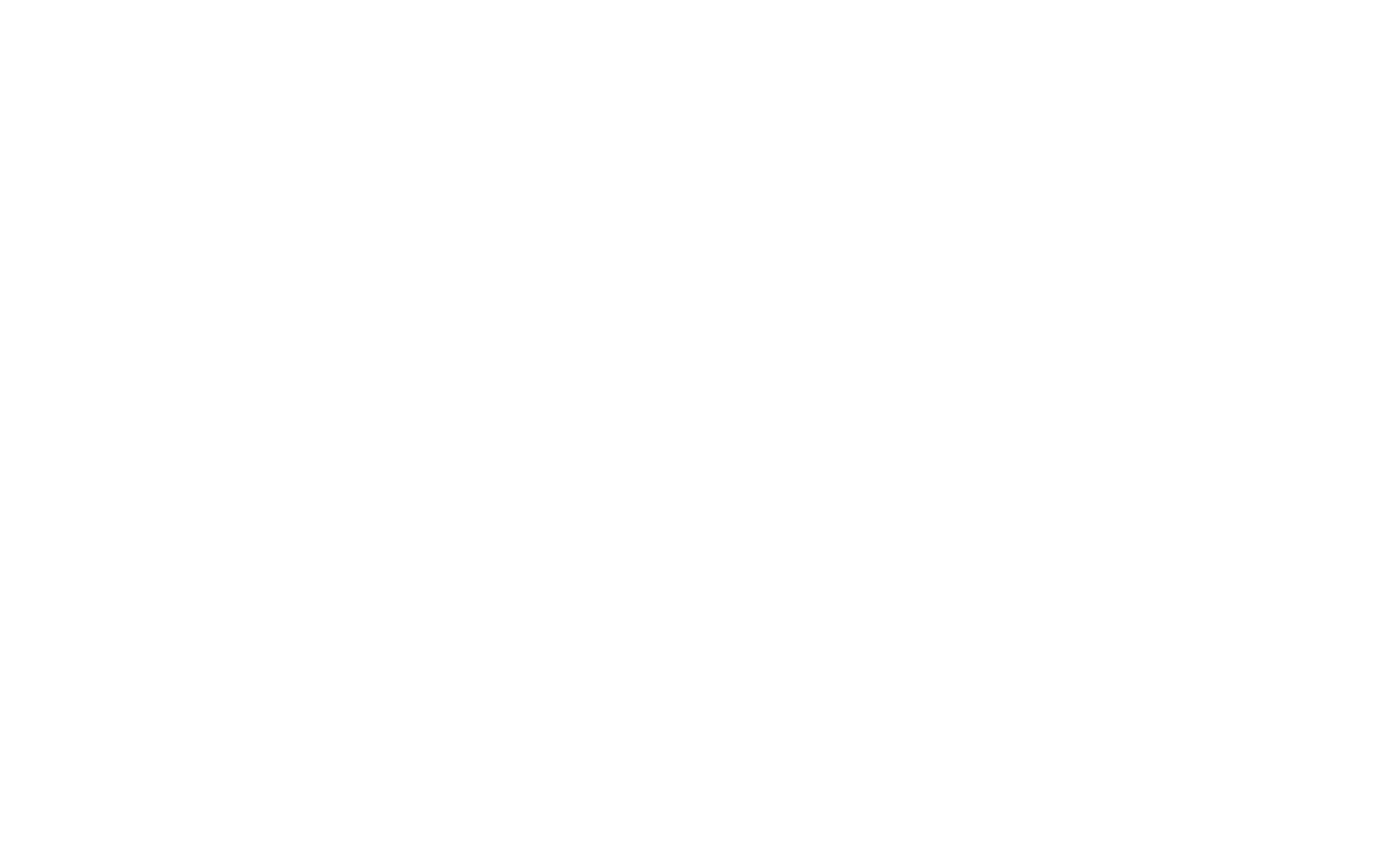 Logo_Rimo3 Long_White